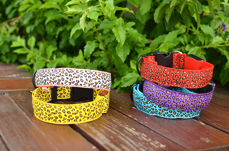 Leopard Print LED Collar for Dogs and Cats