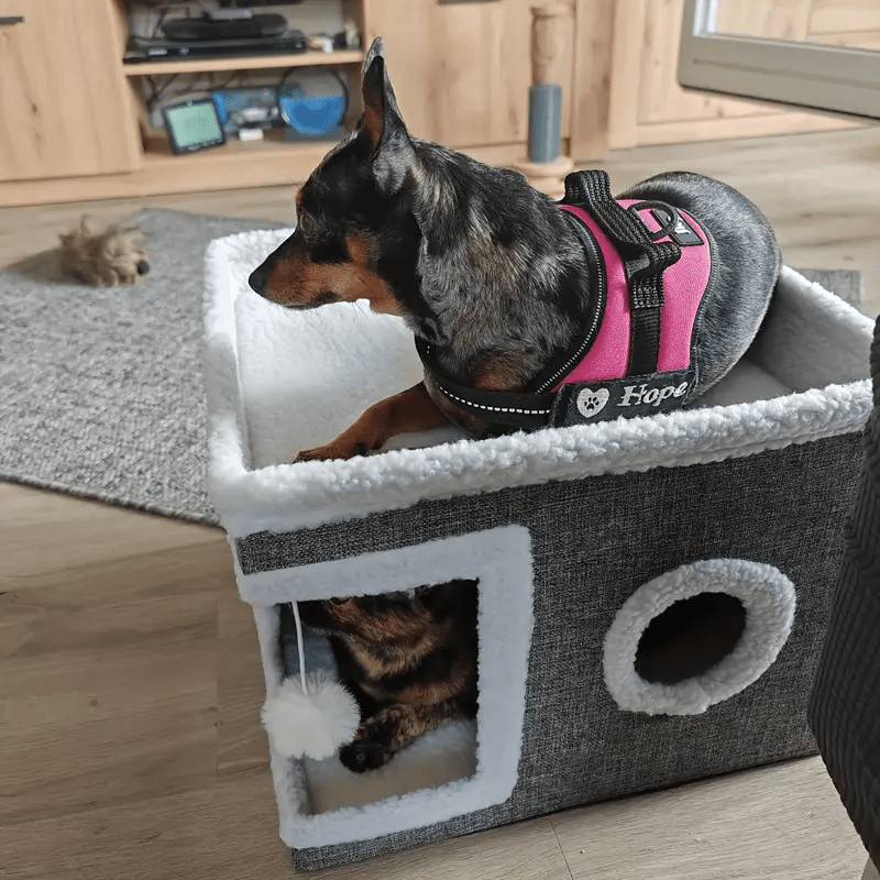 Deluxe Multi-Level Cat/Dog Condo