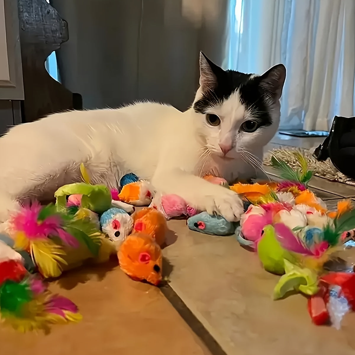 Cat Toy Mix Pack