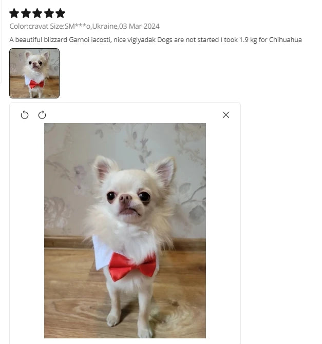 Adjustable Pets Dog/Cat Bow Tie