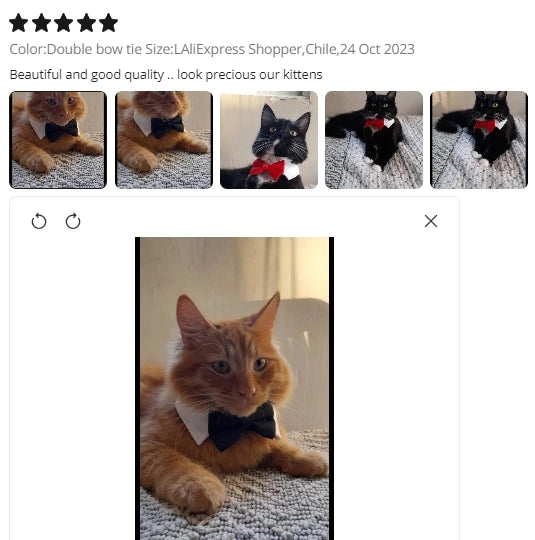Adjustable Pets Dog/Cat Bow Tie