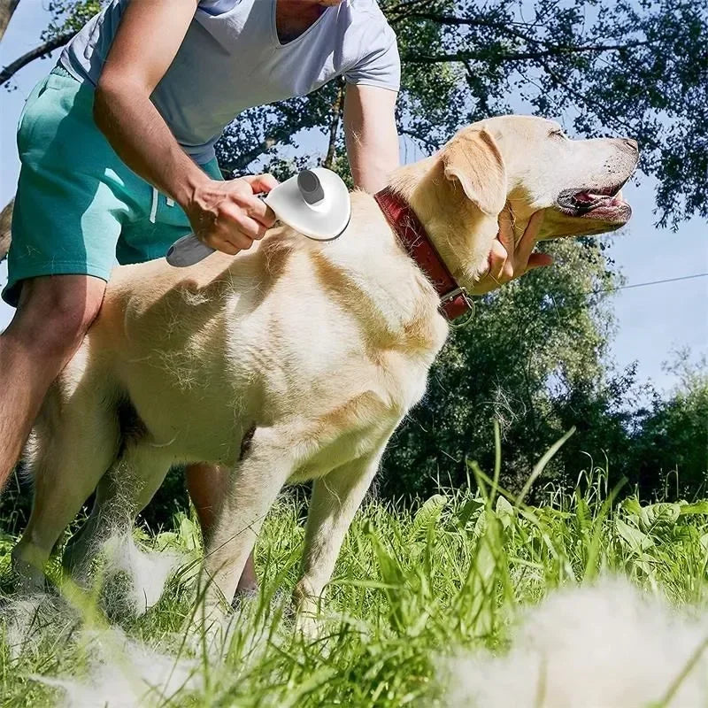 Dog/Cat Brush Self Cleaning