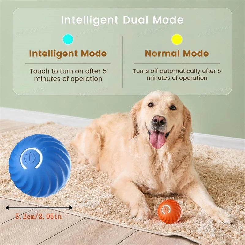 Smart Dog/Cat Toy