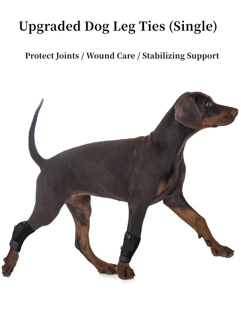 Protects Bandage Dog
