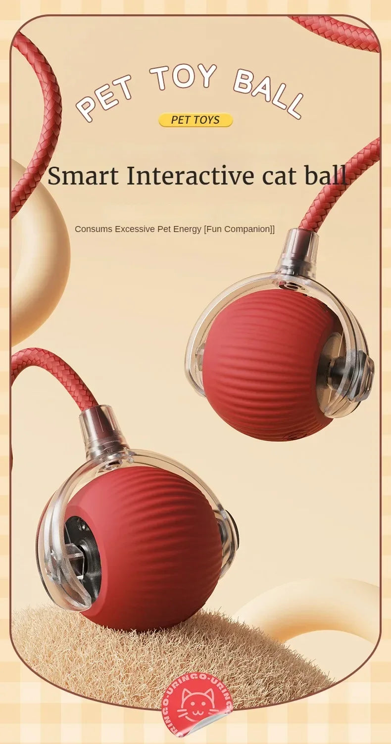 Cat/Dog Interactive Ball Toy Automatic