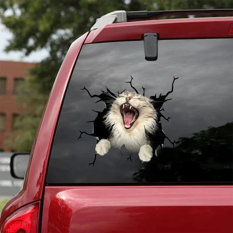 Maine Coon Cat Decal