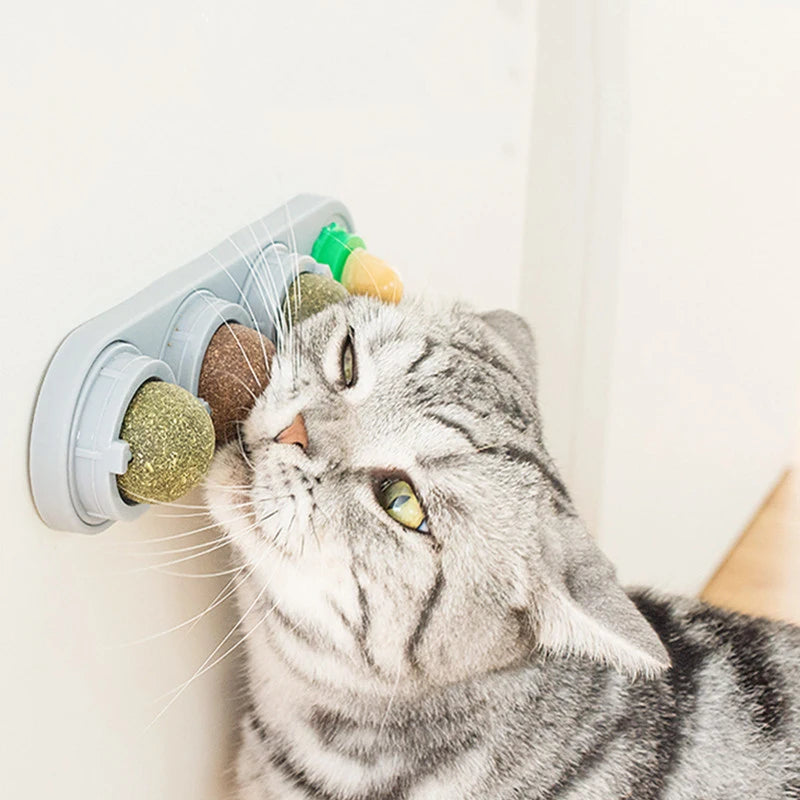 Natural Catnip Toys
