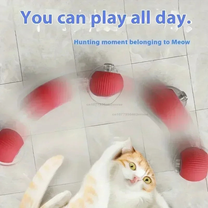 Cat/Dog Interactive Ball Toy Automatic