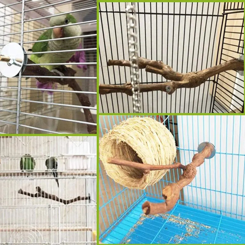 Standing Stick Wild Grape Wood for Parrot