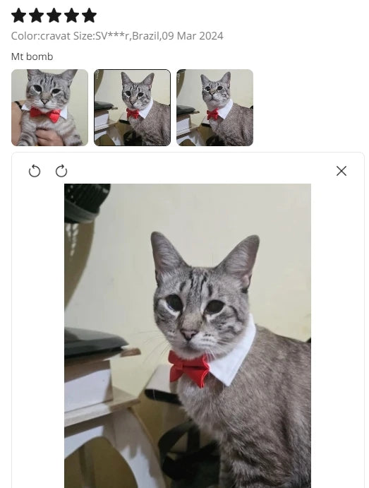 Adjustable Pets Dog/Cat Bow Tie