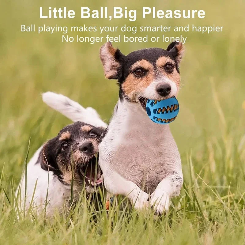 Dog Toy Ball Nontoxic