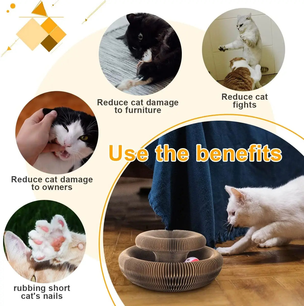 Magic Organ Cat Toy Cats Scratcher