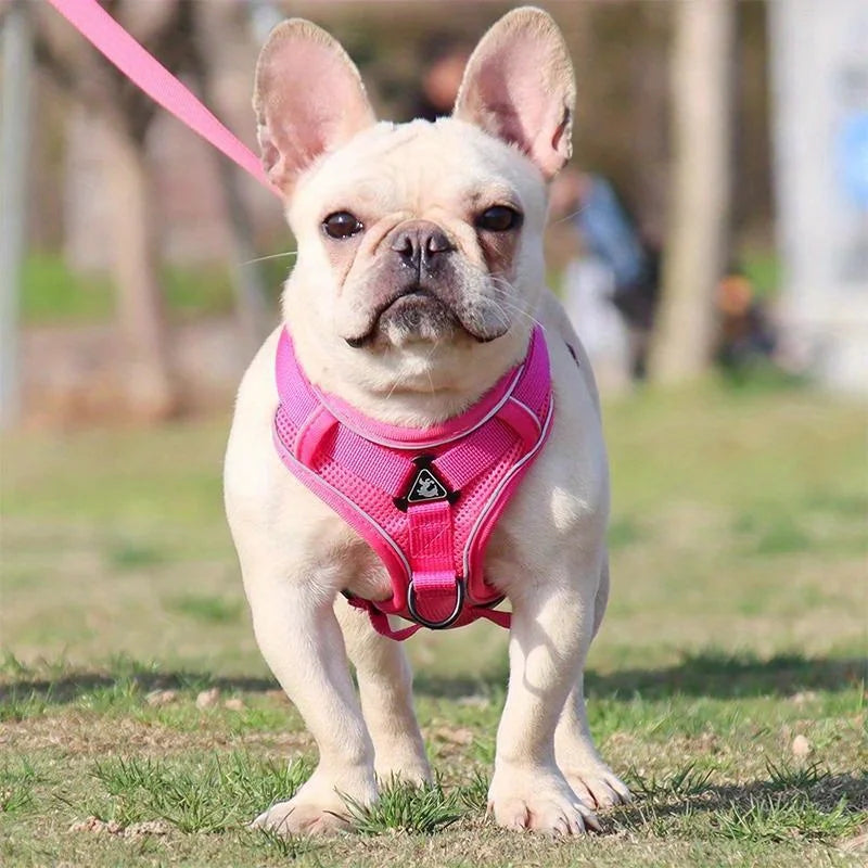 No Pull Dog Harness and Leash Set Adjustable