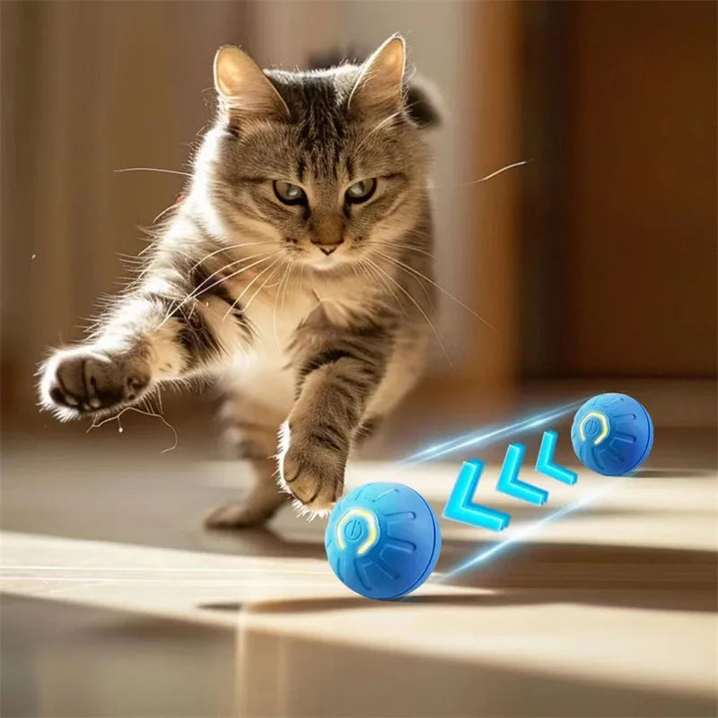 Smart Dog/Cat Toy