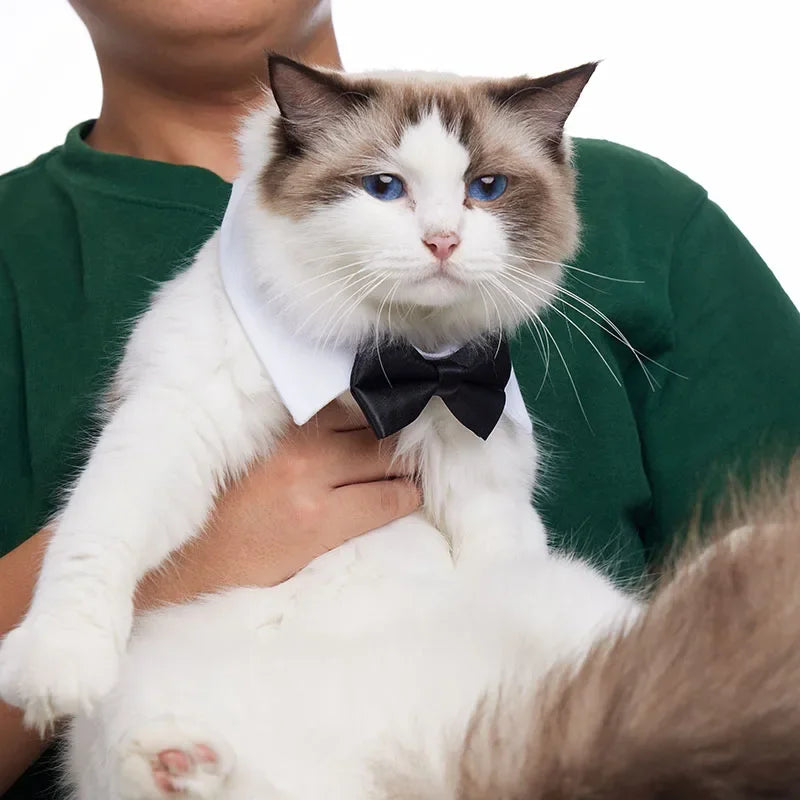 Adjustable Pets Dog/Cat Bow Tie