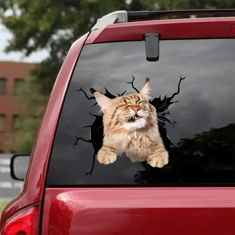Maine Coon Cat Decal