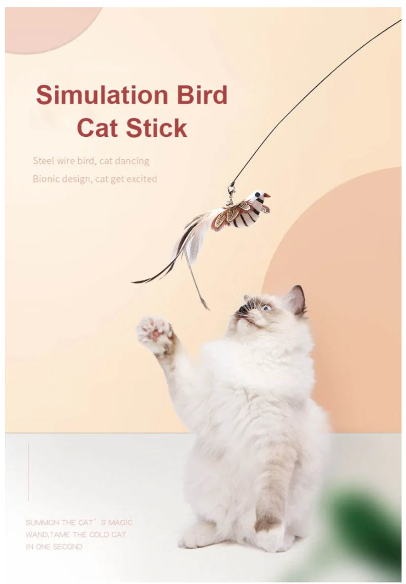 Simulation Bird Interactive