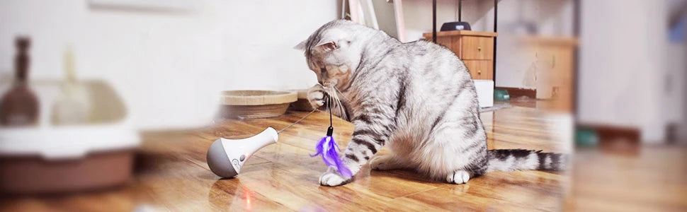 Cat Interactive Toys