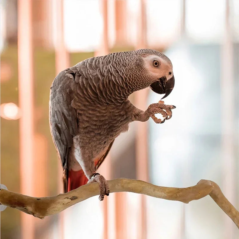 Standing Stick Wild Grape Wood for Parrot