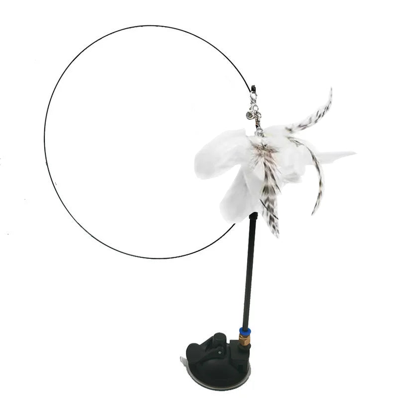 Simulation Bird Interactive
