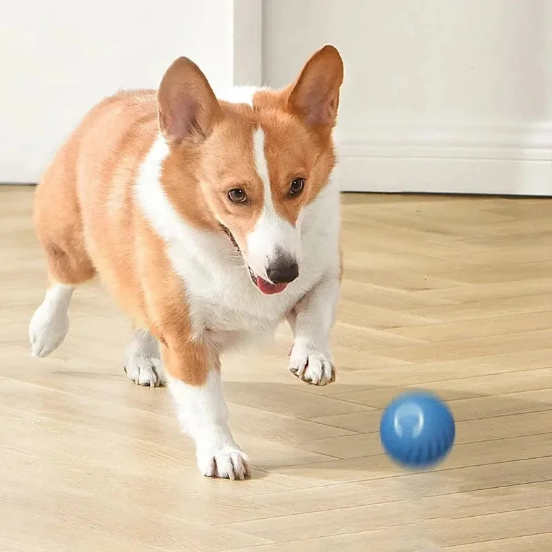 Smart Dog/Cat Toy