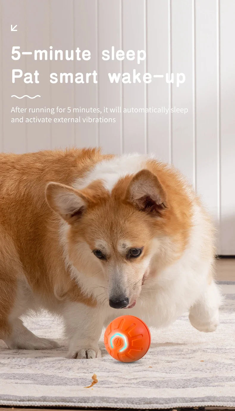 Smart Toy Ball