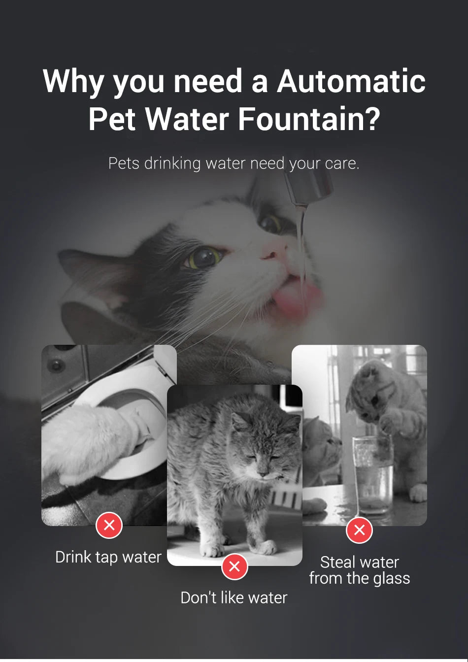 Smart Cat Water Fountain