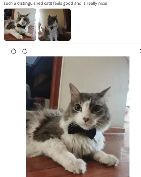 Adjustable Pets Dog/Cat Bow Tie