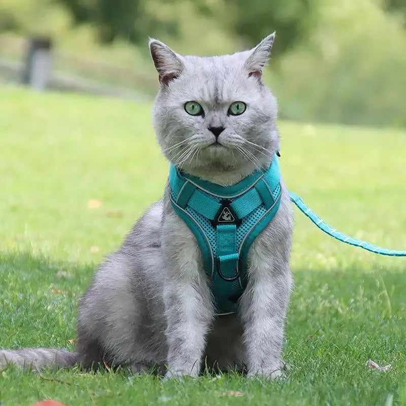 No Pull Dog Harness and Leash Set Adjustable