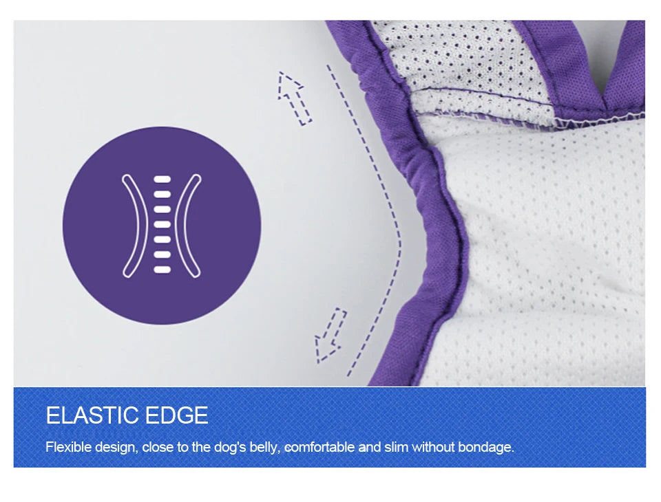 Pet Dog Physiological Hygiene Pants