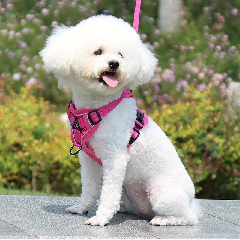 No Pull Dog Harness and Leash Set Adjustable