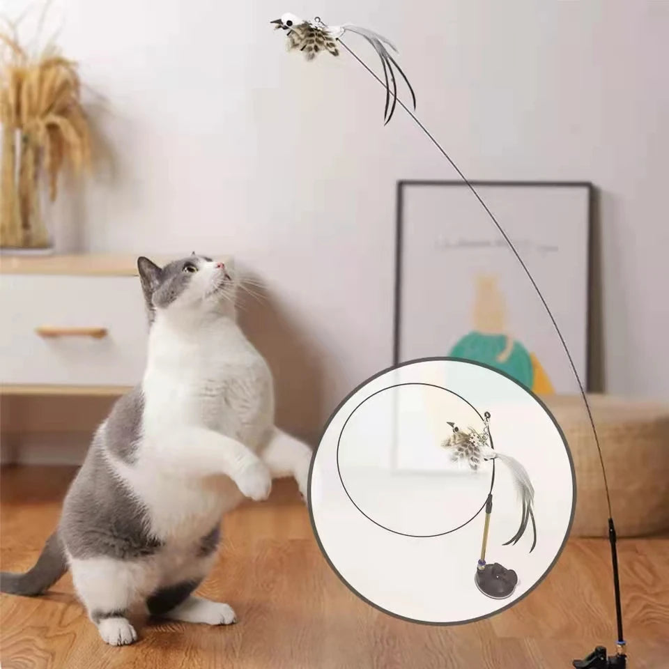 Simulation Bird Interactive