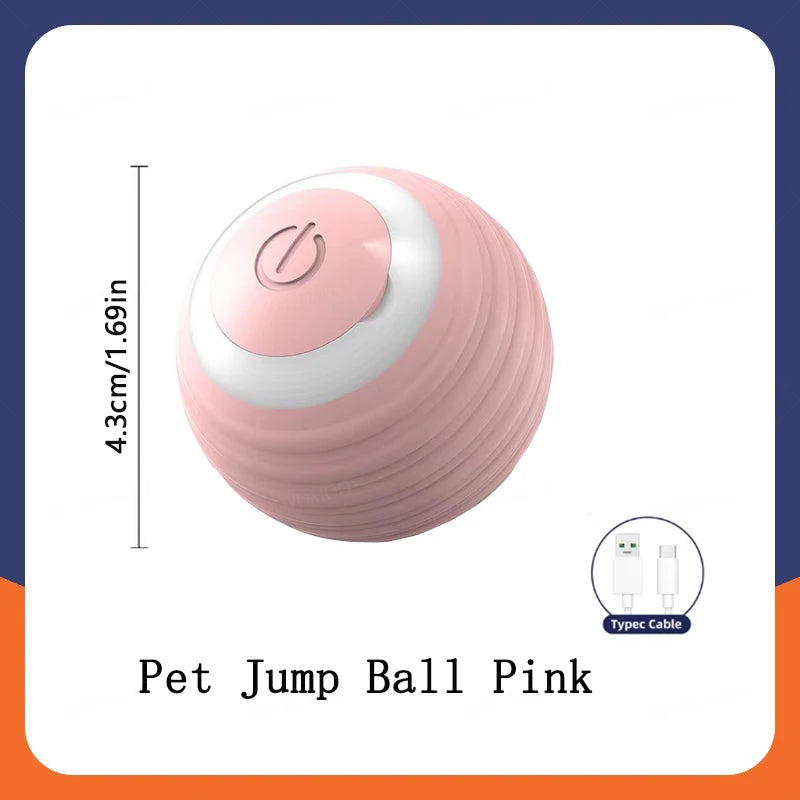 Smart Dog/Cat Toy