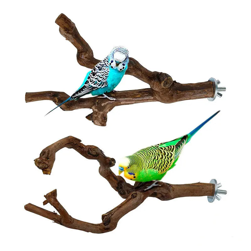 Standing Stick Wild Grape Wood for Parrot