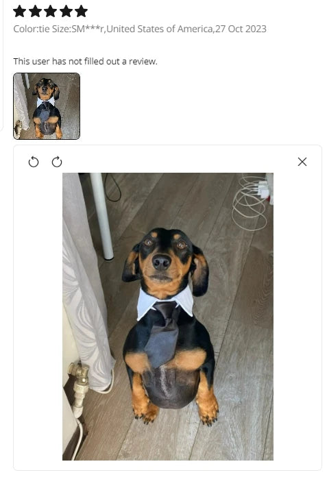 Adjustable Pets Dog/Cat Bow Tie