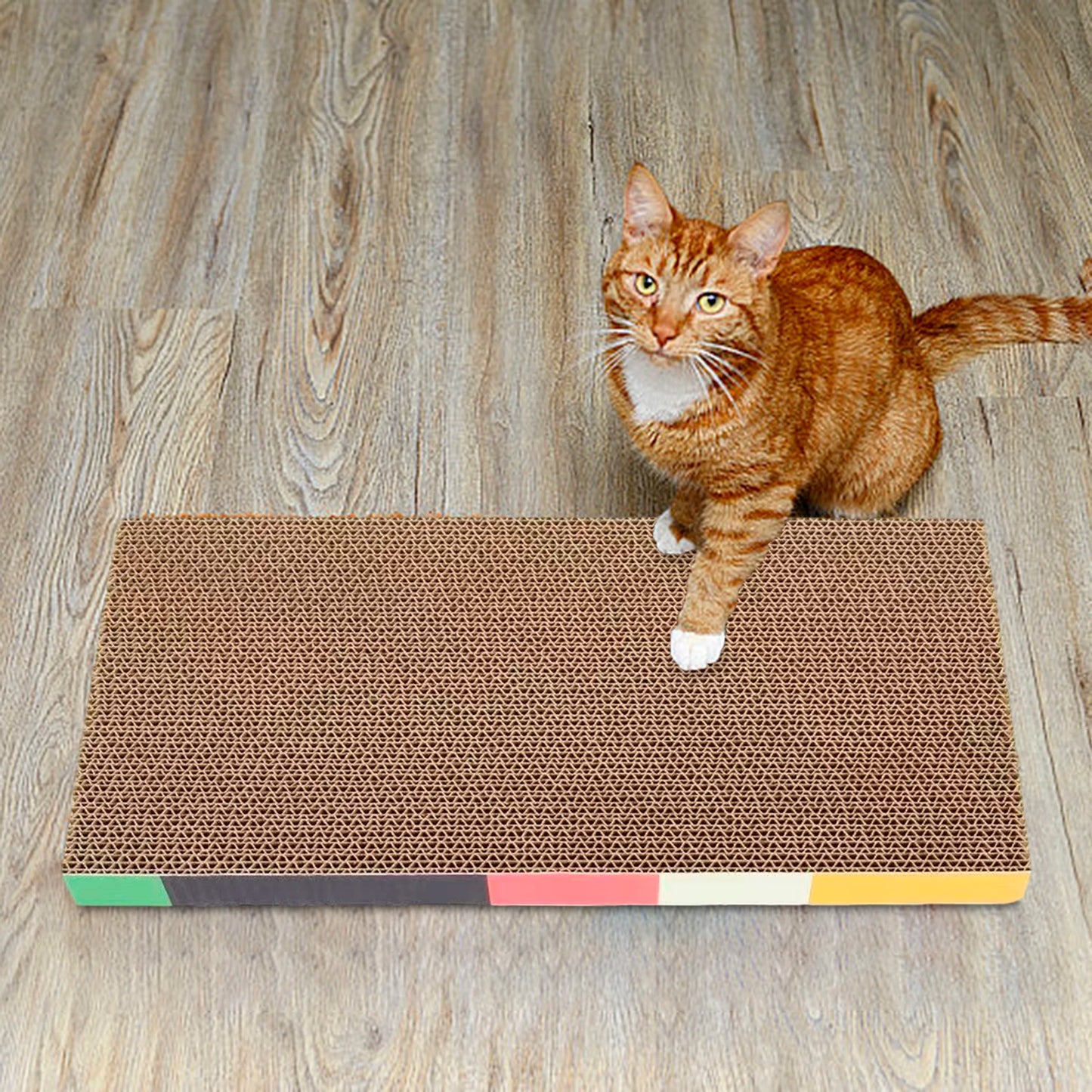Cat Scratching Board Bed