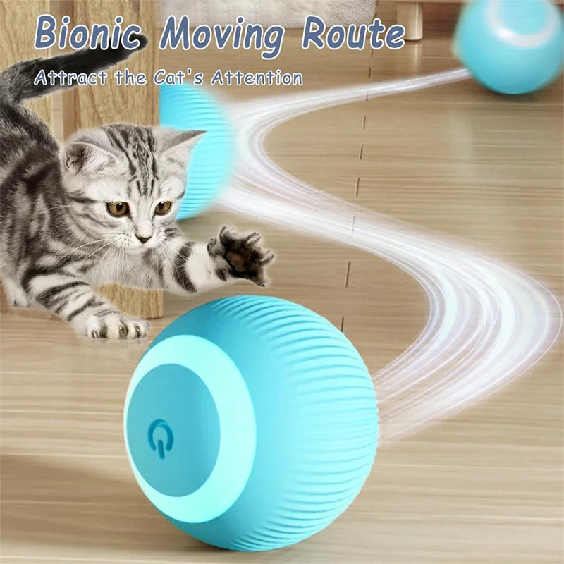 Smart Dog/Cat Toy
