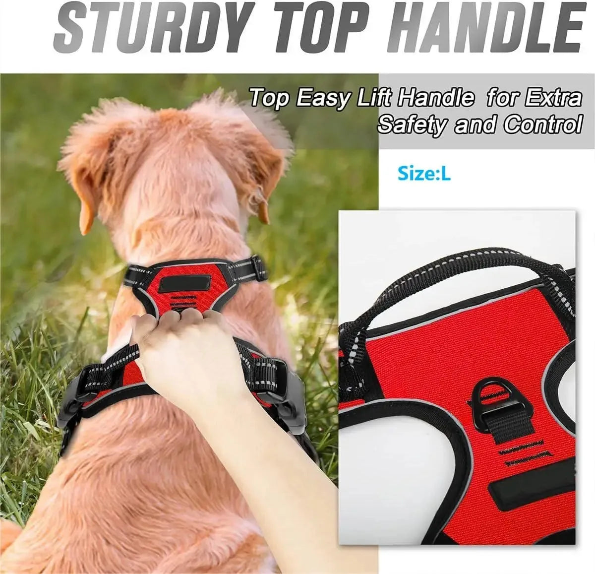 Harness Big Vests