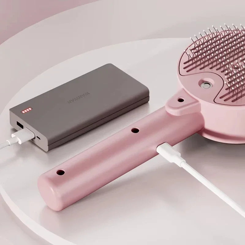Cat Steam Brush 3 in 1