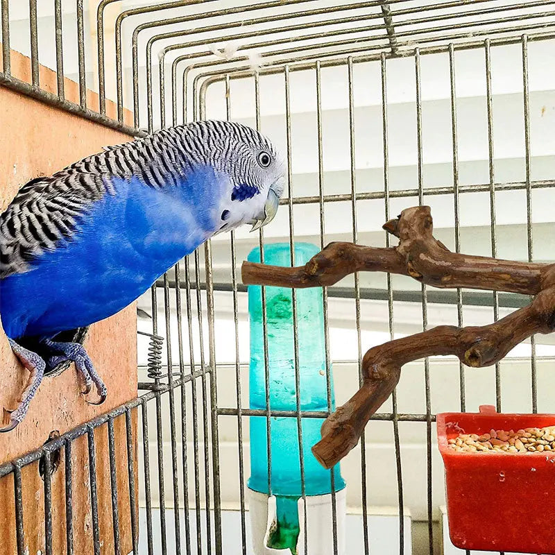 Standing Stick Wild Grape Wood for Parrot