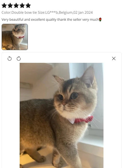 Adjustable Pets Dog/Cat Bow Tie