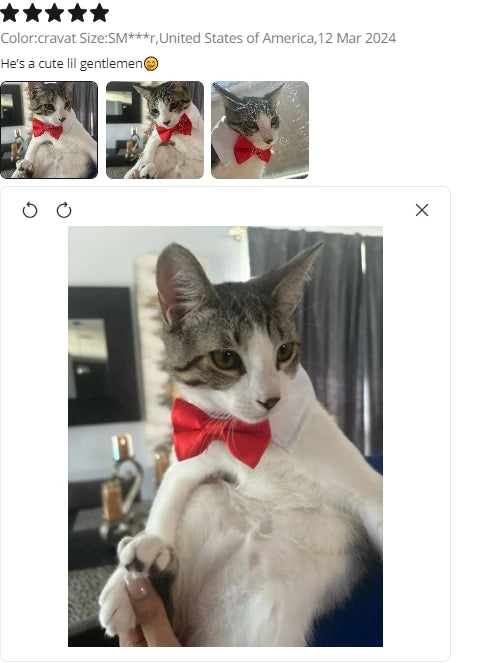 Adjustable Pets Dog/Cat Bow Tie