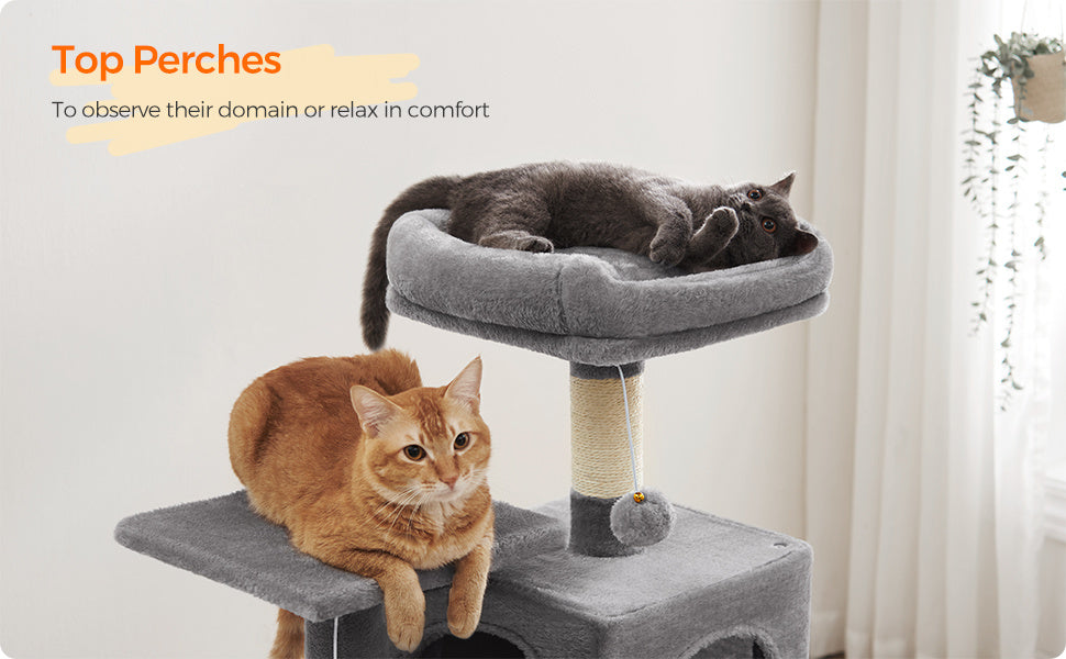 Multi-Level Cat Tree