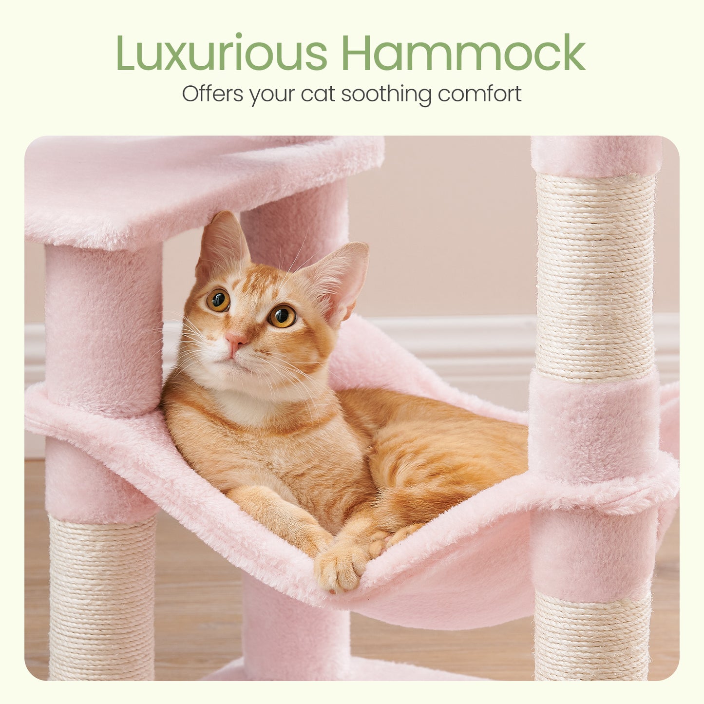 Multi-Level Cat Tree