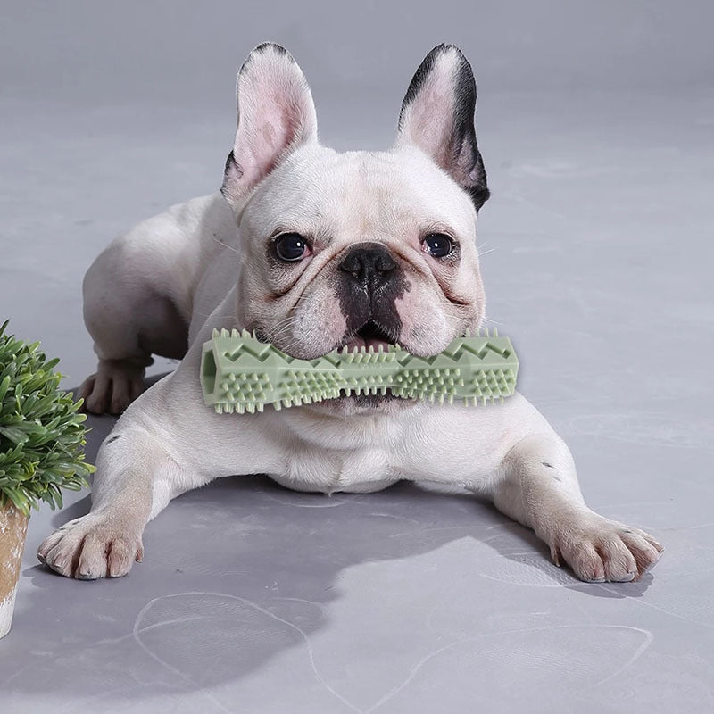 Durable Dog Chew Stick