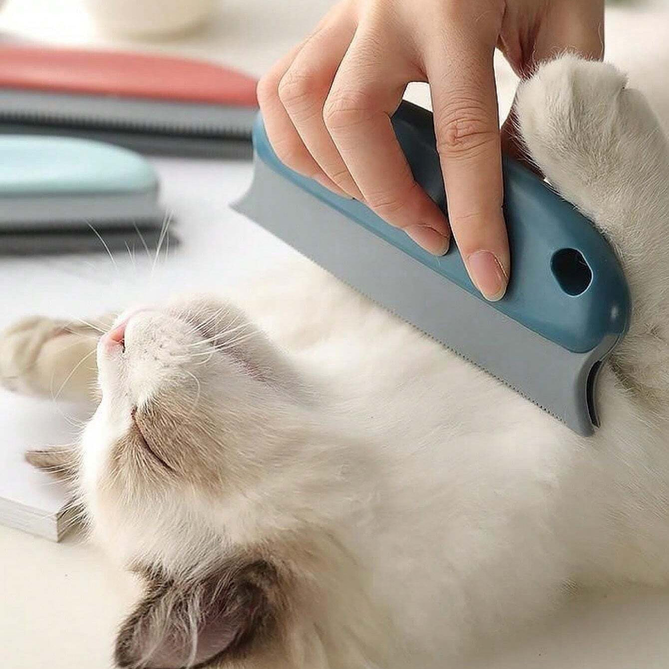 Hair Remover Brush
