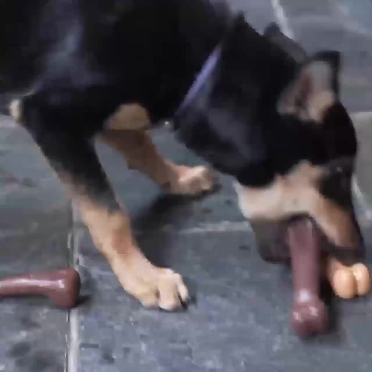 Beef-Flavoured Durable Chew Toy for Dogs