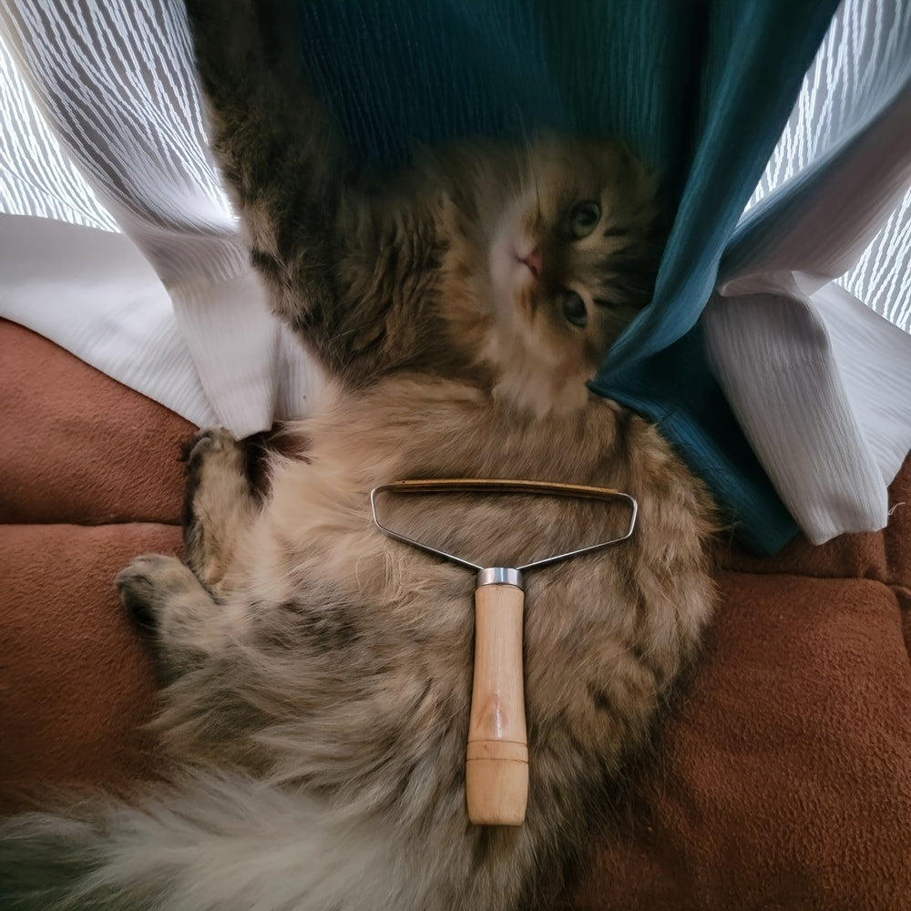 Pet Hair Remover Scraper