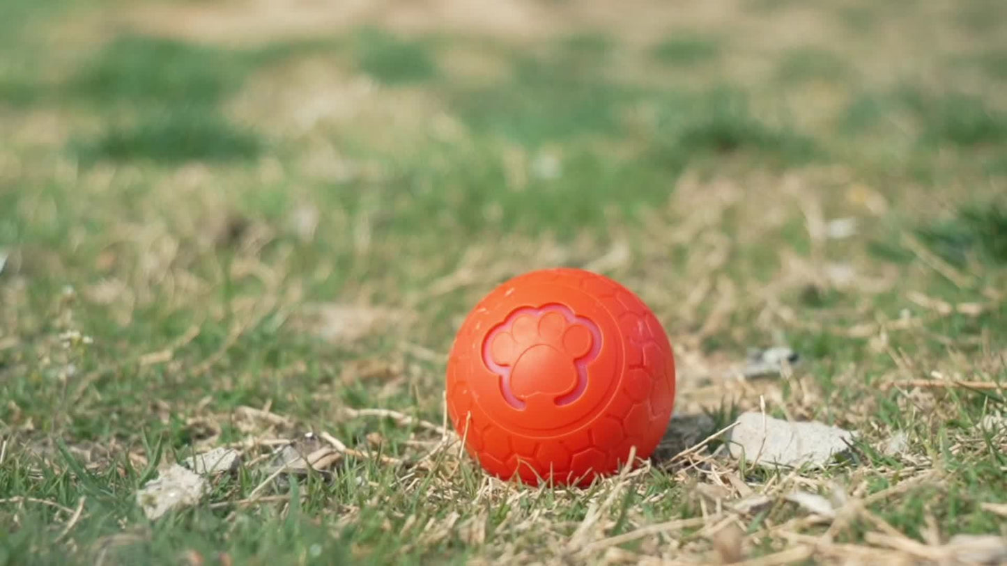 Rechargeable Smart Bouncing Ball Toy