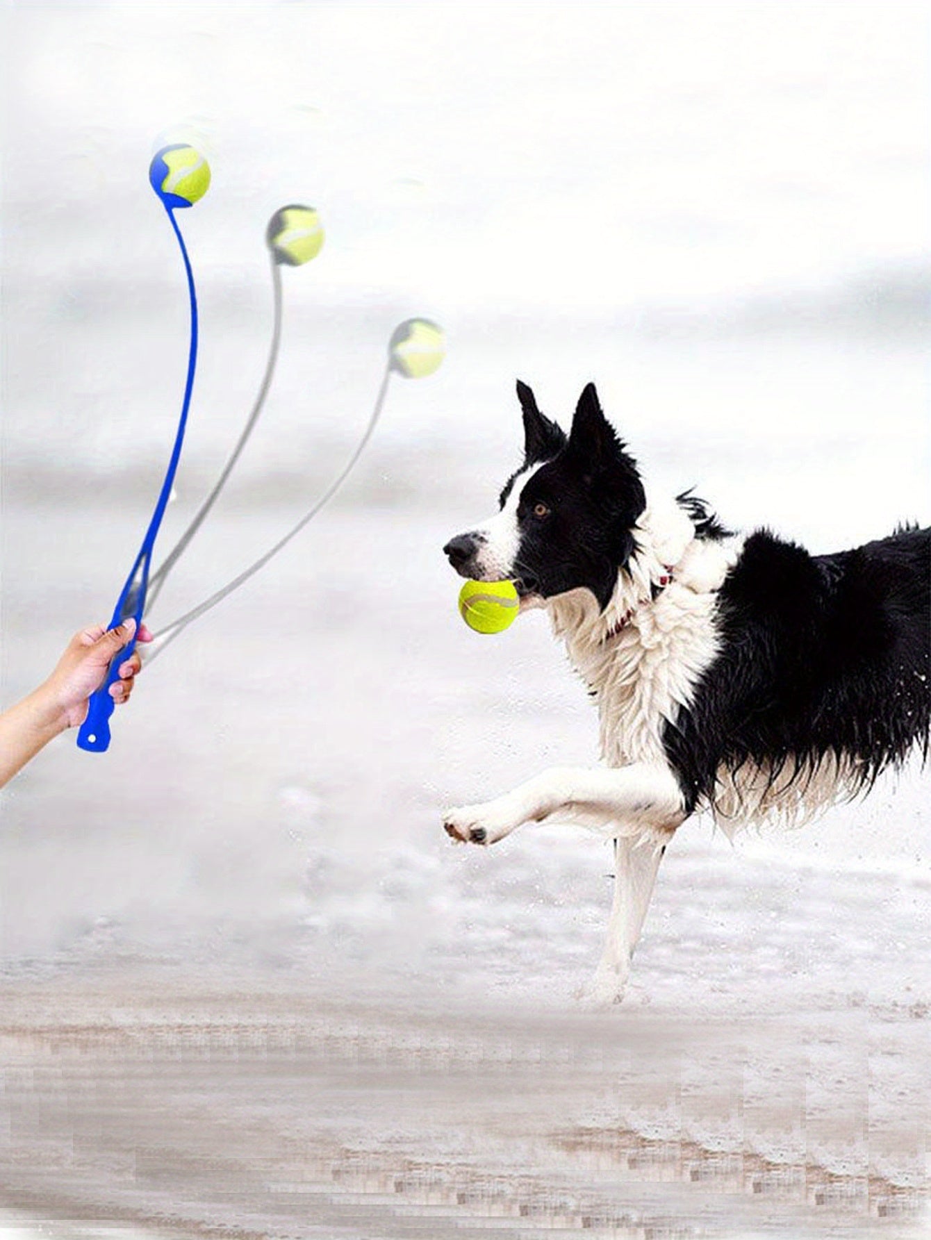Interactive Dog Fetch Toy